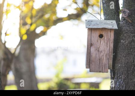 Maison d'oiseaux en bois sur un arbre, temps d'automne Banque D'Images