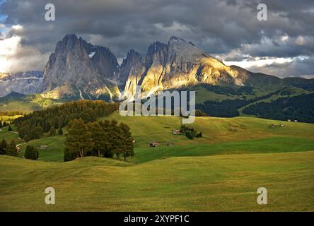 Dernière lumière sur le Seiser Alm avec vue sur le groupe Langkofel lings le Langkofel recycle le Plattkofel Banque D'Images