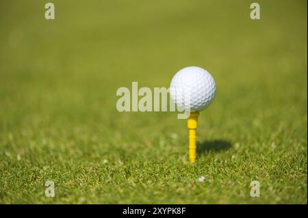 Balle de golf blanche sur un tee jaune Banque D'Images