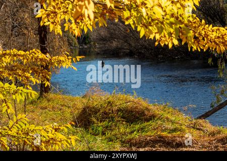 Photographie d'une personne pêchant à la mouche dans les eaux sereines de la rivière Tumut, dans le canton de Tumut niché dans les pittoresques montagnes enneigées. Banque D'Images