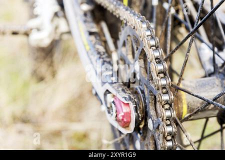 Moto roue arrière trial et enduro. Monté sur la roue dentée et la chaîne avec des rayons. Gros plan de la roue arrière d'une motocyclette tout-terrain Banque D'Images