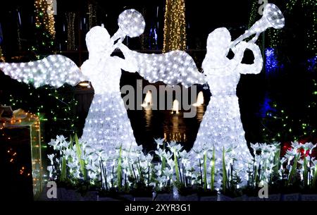 Jardin décoré et éclairé pour Noël et pour le réveillon du nouvel an la nuit Banque D'Images