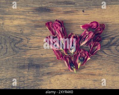 Forme de coeur de pétales de tulipes séchées sur une table en bois rustique en utilisant comme fond Banque D'Images