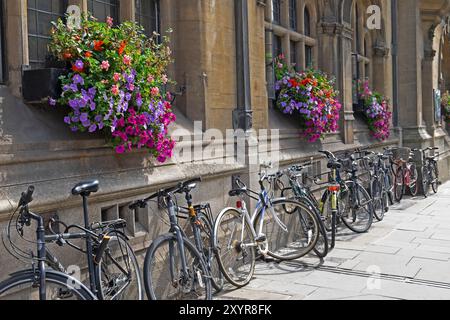 Oxford City Centre Street avec de beaux paniers suspendus et vélos vélos vélos appuyés contre un mur de bâtiment en été Royaume-Uni Angleterre 2024 KATHY DEWITT Banque D'Images