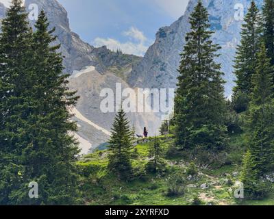 Reutte, Autriche. 18 juin 2024. Randonneur à la cabane de montagne Fuessener Huette près de Reutte, Autriche le 18 juin 2024. Photographe : ddp images/STAR-images crédit : ddp Media GmbH/Alamy Live News Banque D'Images