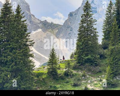 Reutte, Autriche. 18 juin 2024. Randonneur à la cabane de montagne Fuessener Huette près de Reutte, Autriche le 18 juin 2024. Photographe : ddp images/STAR-images crédit : ddp Media GmbH/Alamy Live News Banque D'Images