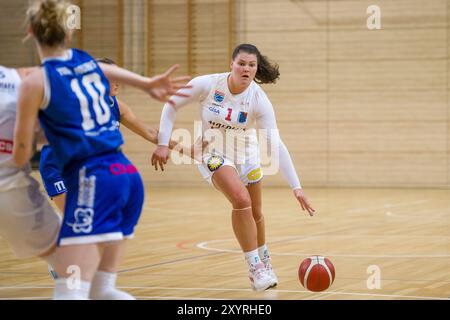 Halle, Deutschland. 30 août 2024. Halle, Deutschland 30. Août 2024 : Testspiel - Damen - 2024/2025 - Halle Lions MBC v. Pharmaserve Marburg Im Bild : River Baldwin (Halle) crédit : dpa/Alamy Live News Banque D'Images