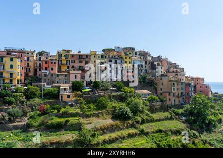 Vue de Corniglia, l'un des cinq villages de pêcheurs des Cinque Terre, Italie Banque D'Images