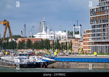 Vue sur le bassin portuaire du Maashaven, port de navigation intérieure, amarrages, ancien navire amiral de la Holland-America-Line, SS Rotterdam, aujourd'hui hôtel sh Banque D'Images