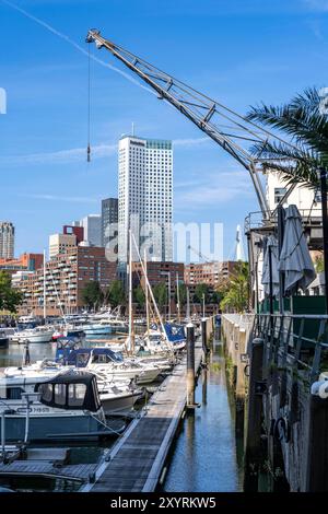 Rotterdam Marina, gastronomie, quartier de la vie nocturne, port de plaisance, bateaux à voile, yachts à moteur, dans le port intérieur, quartier Feijenoord, Rotte Banque D'Images