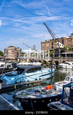 Rotterdam Marina, gastronomie, quartier de la vie nocturne, port de plaisance, bateaux à voile, yachts à moteur, dans le port intérieur, quartier Feijenoord, Rotte Banque D'Images