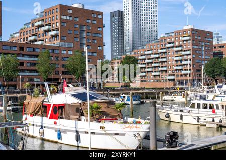 Rotterdam Marina, derrière des immeubles résidentiels de grande hauteur à Spoorweghaven, port de plaisance, voiliers, yachts à moteur, dans le port intérieur, Feije Banque D'Images