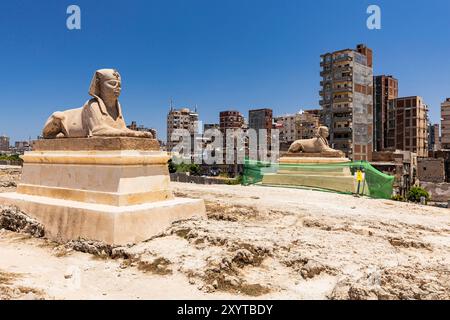 Serapeum d'Alexandrie, statue en pierre de sphinx, et bâtiments au centre-ville, Alexandrie, Egypte, Afrique du Nord, Afrique Banque D'Images