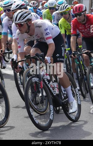 Ardooie, Belgique. 30 août 2024. WELLENS Tim de l'équipe Émirats Arabes Unis lors du Renewi Tour 2024, étape 3, Blankenberge - Ardooie le 30 août 2024 à Ardooie, Belgique - photo Laurent Lairys/PANORAMIC Credit : Abaca Press/Alamy Live News Banque D'Images