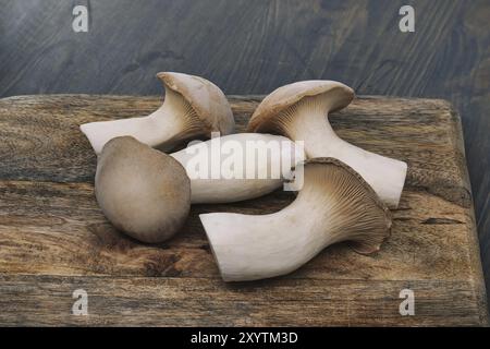 Champignons d'huîtres royales frais, varient en tailles, reposent sur une planche à découper en bois, fond gris-bleu surface en bois teinté, scène vibrante de préparations alimentaires Banque D'Images