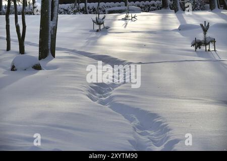 Scène hivernale calme et sereine avec une profonde couche de neige couvrant le sol et entourant les arbres, des traces sont imprimées sur la neige, menant vers Banque D'Images