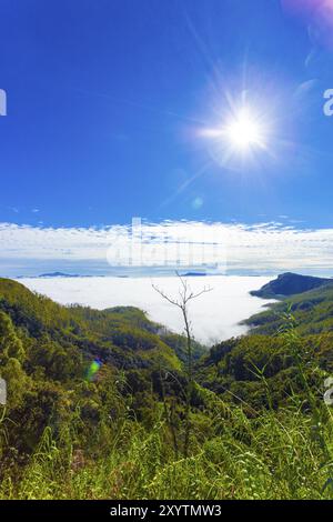 Une mer de nuages de plumes la vallée ci-dessous vu de dessus dans les montagnes de hill country à Haputale, Sri Lanka. La verticale Banque D'Images