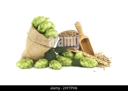 Des cônes de houblon vert frais avec des feuilles qui débordent d'un sac hessien près des graines de blé et de la pelle en bois, composants de la production de bière isolés sur W Banque D'Images