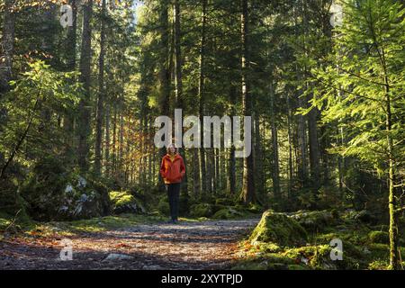 Un randonneur sur le sentier de randonnée autour du Vorderer Gosausee. Forêt automnale. Beau temps, soleil. Gosau, vallée de Gosau, Salzkammergut, haute-Autriche, Banque D'Images