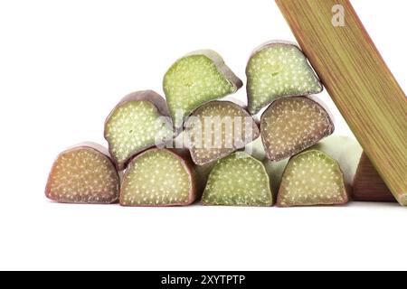 Variété de tiges de rhubarbe de couleurs variables du vert pâle au rouge profond isolé sur fond blanc, avantages pour la santé de manger de la rhubarbe Banque D'Images