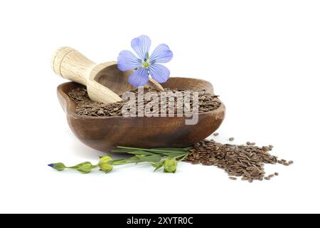 Bol en bois rempli de graines de lin et une fleur de lin violette vibrante isolée sur fond blanc Banque D'Images