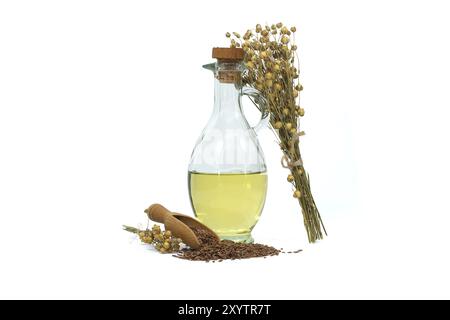 Huile de lin en carafe de verre et graines de lin en peloton de bois et bouquet de plantes de lin isolées sur fond blanc. Linum usitatissimum (Flax commun) Banque D'Images