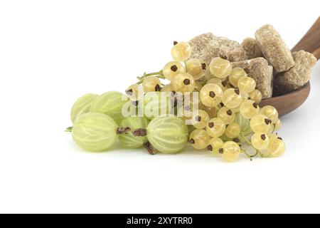 Groseilles à maquereau et raisins de Corinthe jaunes à côté des cubes de sucre de canne dans un bol en bois, isolé sur fond blanc, confiture de baies, préparation de compote Banque D'Images