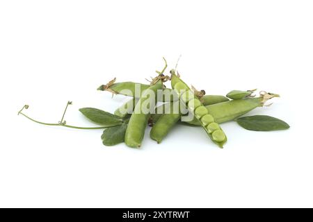 Gousse de pois ouverte et pois verts ronds à l'intérieur, feuille verte avec une pointe pointue et gousses de pois en gros plan isolé sur fond blanc Banque D'Images