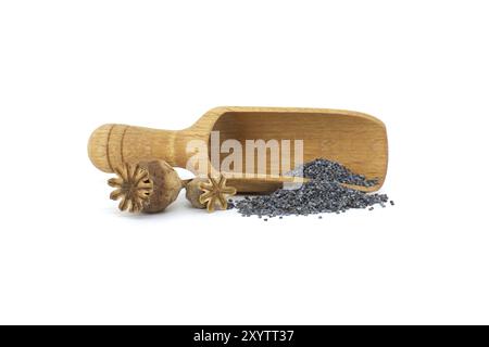 Gousses de graines de pavot et graines dans une pelle en bois sur blanc isolé sur fond blanc, pleine profondeur de champ Banque D'Images