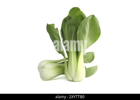 Pak choi, également connu sous le nom de bok choi ou pok choi type de chou chinois isolé sur fond blanc Banque D'Images