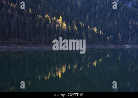 Le bord du lac à Vorderer Gosausee le matin en automne. Tache solaire sur les mélèvres jaunes. Réflexion. Vorderer Gosausee, Gosau, Gosau Valley, Salzkamme Banque D'Images