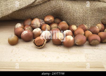 Noisettes fraîches non décortiquées à côté du sac de jute sur une table en bois avec un espace de copie pour le texte Banque D'Images