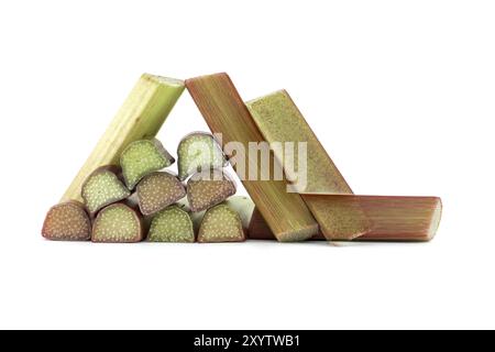 Variété de tiges de rhubarbe de couleurs variables du vert pâle au rouge profond isolé sur fond blanc, avantages pour la santé de manger de la rhubarbe Banque D'Images