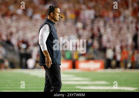 30 août 2024 : Luke Fickell, entraîneur-chef des Wisconsin Badgers, lors du match de football NCAA entre les Western Michigan Broncos et les Wisconsin Badgers au Camp Randall Stadium de Madison, WISCONSIN. Darren Lee/CSM. Banque D'Images