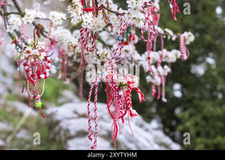 Bracelets de Martenitsa bulgares blancs et rouges, accrochés à la branche de l'arbre de fleur de printemps Banque D'Images