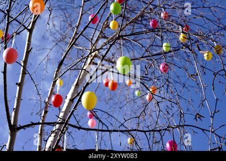 Oeufs de Pâques comme décoration sur un arbre Banque D'Images