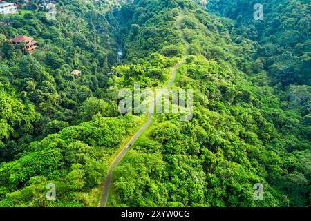 Vue aérienne du sentier Campuhan Ridge Walk à Ubud, Bali, Indonésie. Banque D'Images