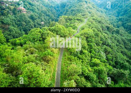 Vue aérienne du sentier Campuhan Ridge Walk à Ubud, Bali, Indonésie. Banque D'Images