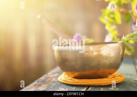 Bol chantant sur un métal vert rustique, table en bois à l'extérieur. Fleurs dans l'arrière-plan flou, coloré Banque D'Images