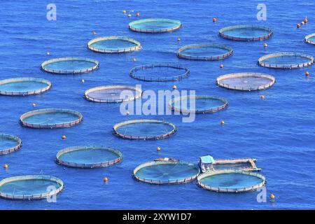 Ferme de poissons de mer avec cages à cercle flottant en Grèce, vue aérienne Banque D'Images