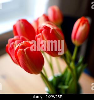 Un bouquet de tulipes dans un vase à fleurs Banque D'Images