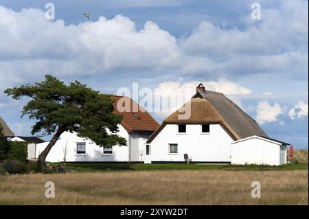 2 bâtiments résidentiels sur l'île de Hiddensee Banque D'Images