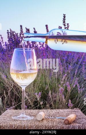 Vin blanc versé dans un verre contre un champ de lavande Banque D'Images