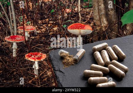 Image conceptuelle de mouche agarique Amanita muscaria pilules médicinales capsules. Montage photo de champignons agariques à la mouche poussant dans la forêt et le champignon. Banque D'Images