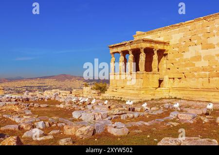 Statues de caryatides sur le Parthénon sur l'Acropole, Athènes, Grèce, Europe Banque D'Images