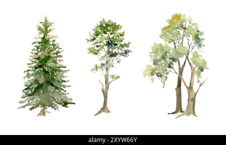 Paysage paysage de conifères feuillus sapin sapin sapin sapin pins, chêne, cerisier frêne bouleau dessiné à la main à l'aquarelle. Elément isolé unique pour Banque D'Images