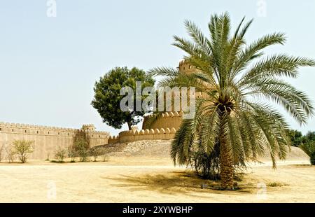 Vue sur le Fort Al-Jahili à Abu Dhabi. Banque D'Images