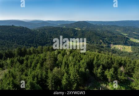 Vue depuis la tour de Buchkopf dans la forêt noire d'Oppenau-Maisach en Allemagne. Baden Wuerttemberg, Allemagne, Europe Banque D'Images