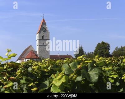 Église et vignes à Hagnau Banque D'Images