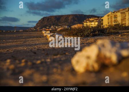 Rochers couchés sur la plage avec une ville en arrière-plan Banque D'Images